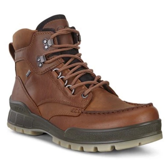 NEW ECCO Men’s Track 25 High Gore Tex Hiking Boot Bison brown leather size US 5 - Picture 1 of 12
